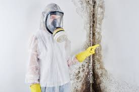 Best Comprehensive Air Testing for Mold Contaminants  in Perryopolis, PA